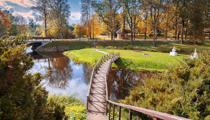 Blog images - 2023 - wooden bridge