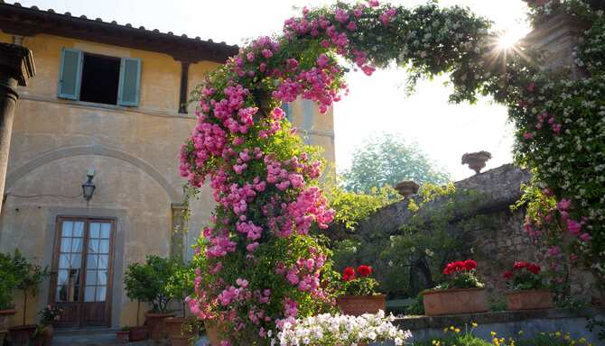 Blog images - 2023 - casa manzoni design milans botanical hidden gems