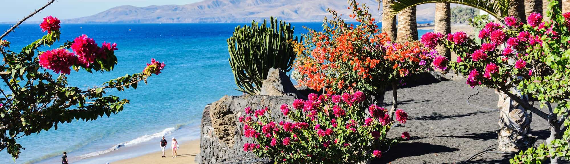 Blog images - Top Four Places to Visit in March - Lanzarote garden