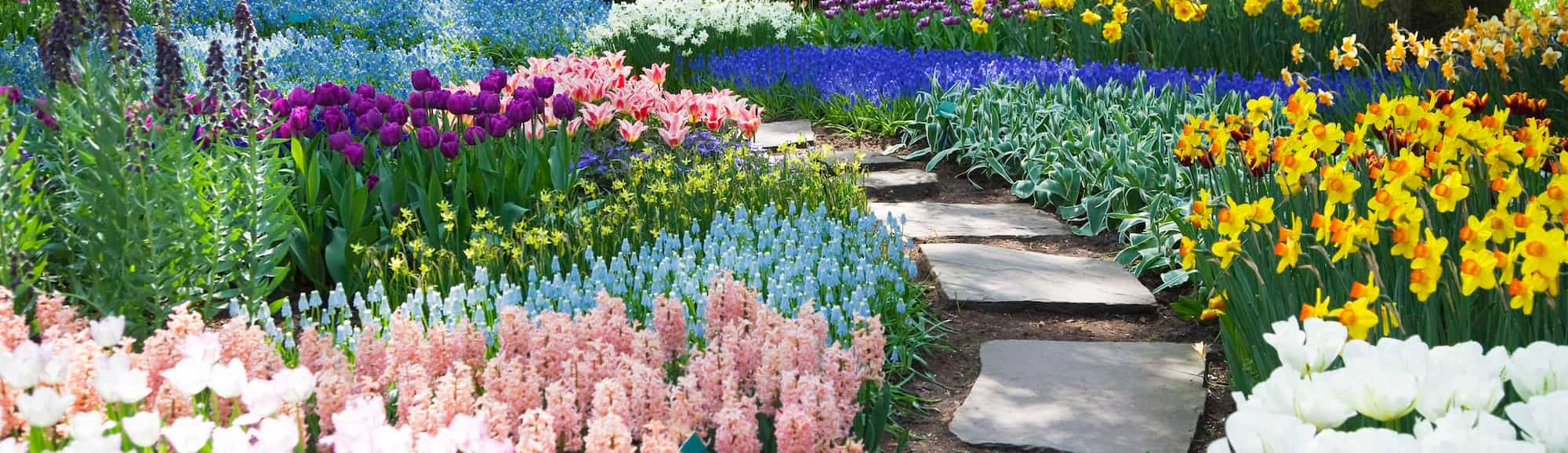 Blog images - Where to go in April: What’s on your bucket list? - keukenhof