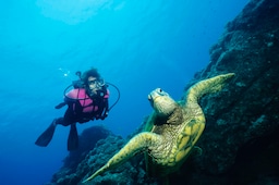 Blog images - Things you should know about Kaş, Turkey - turtle diving