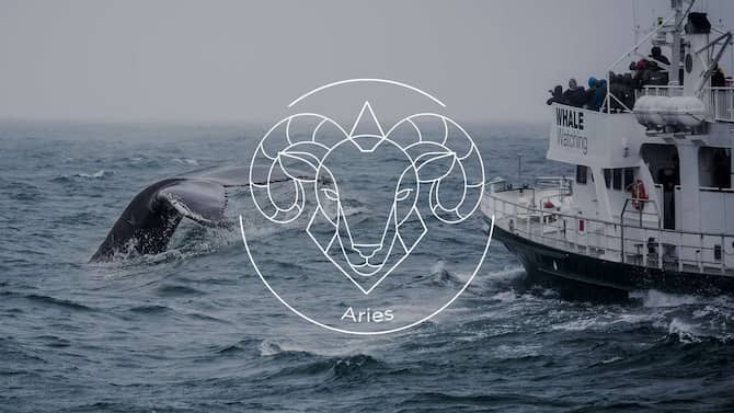 Blog images - 2023 - BRUZT Radiscope Astrological signs X Aries