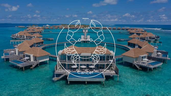 Blog images - 2023 - BRUZT Radiscope Astrological signs X Cancer