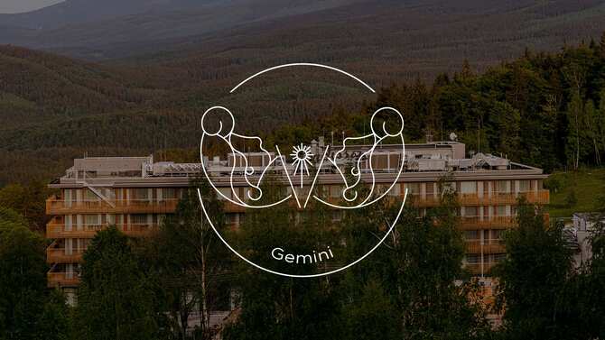 Blog images - 2023 - BRUZT Radiscope Astrological signs X GEMINI