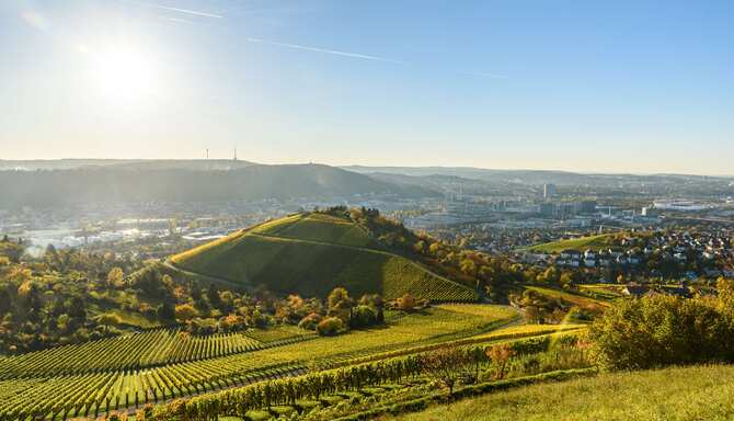 Blog images - 2023 - Scenic Vineyards Have a Taste or two of Stuttgart s Thriving Wine Culture Destination Reasons to visit stuttgart germany