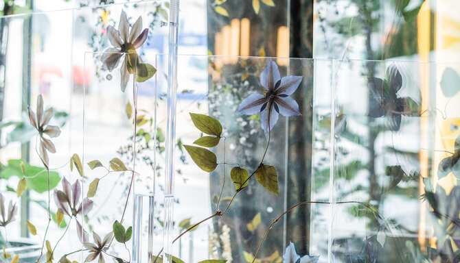 Blog images - 2023 - potafiori restaurant design milans botanical hidden gems