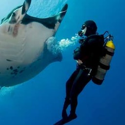 Blog images - 2024 - blog img