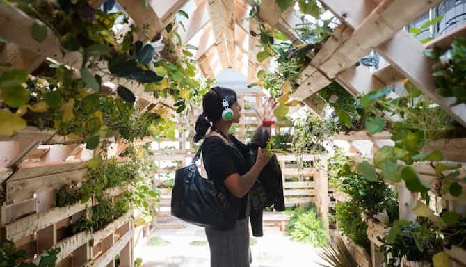 Blog images - 2024 - How to navigate creative obstacles in event design