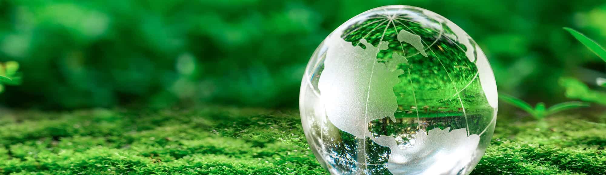 Blog images - 2024 - Sustainable Event Planning for Assistants Meetings GettyImages