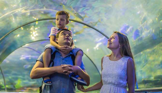 Blog images - 2024 - Family Day Trips from Aarhus Family family aarhus