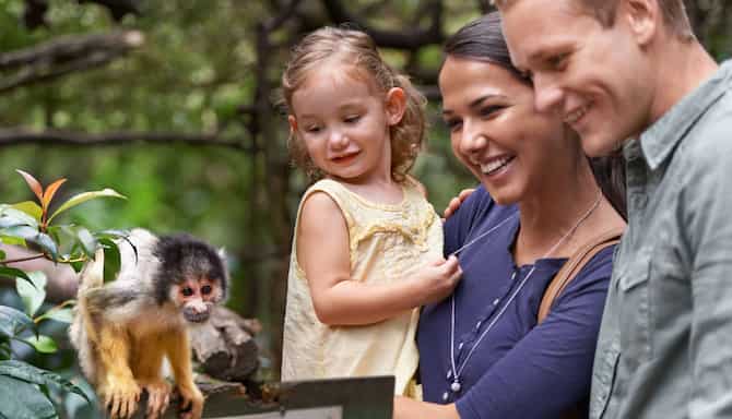 Blog images - 2024 - Family Day Trips from Aarhus Family GettyImages