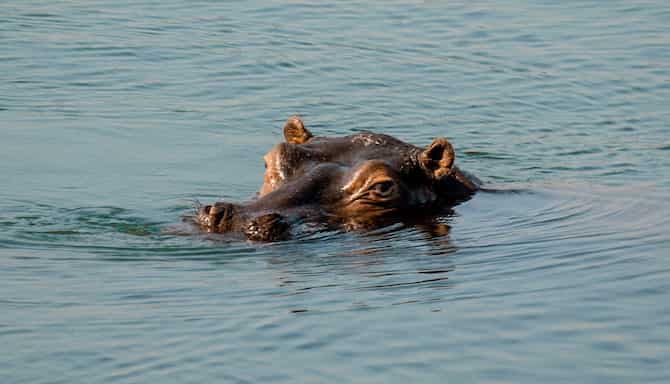 Blog images - 2024 - Adventures in Zambia Livingstone and Victoria Falls travel guide Destination DSC