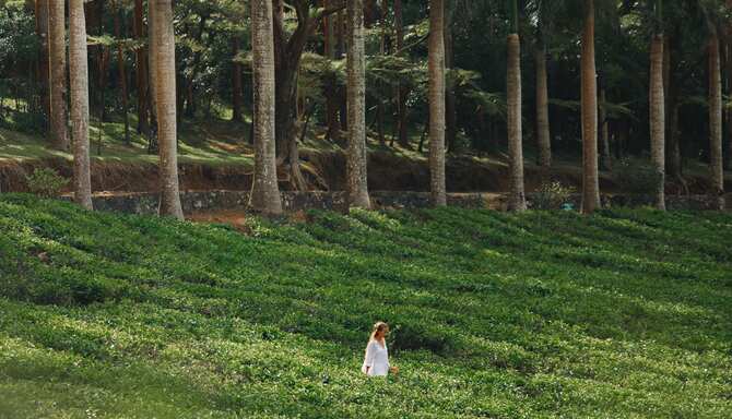 Blog images - 2024 - Mauritius Travel Guide with Radisson Hotels Destination ONA