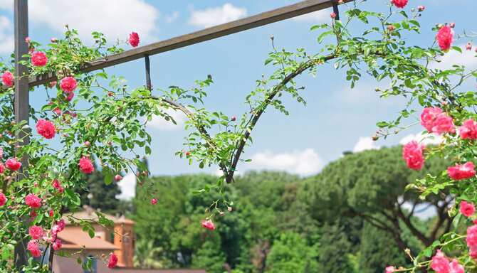 Blog images - 2024 - top gardens parks to explore in rome roseto comunale