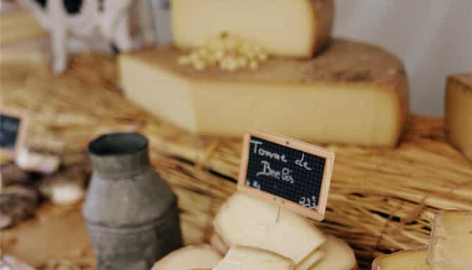 Blog images - 2025 VOL 2 - Basel raclette a cheesy delight