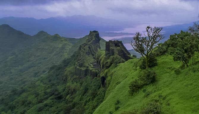 Blog images - 2025 VOL 2 - GettyImages