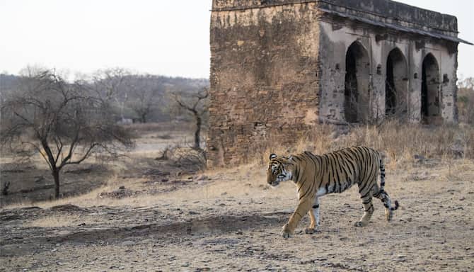 Blog images - 2025 VOL 2 - GettyImages