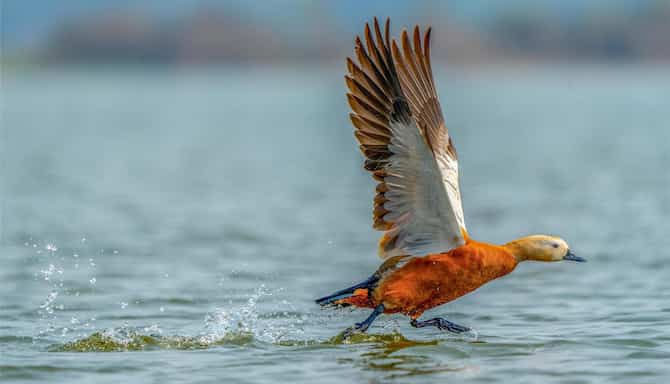 Blog images - 2025 VOL 2 - GettyImages