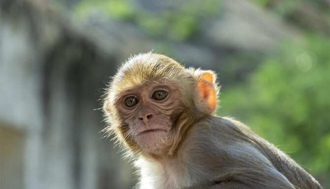 Blog images - 2025 VOL 2 - GettyImages