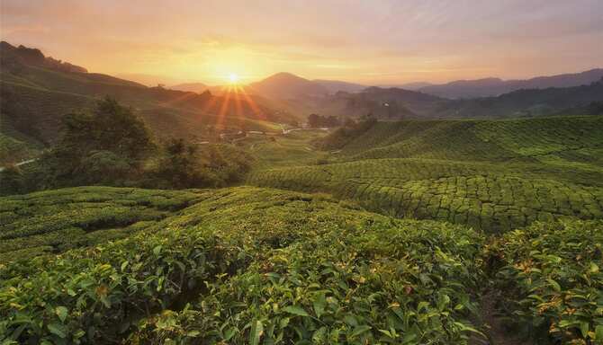 Blog images - 2025 VOL 2 - GettyImages