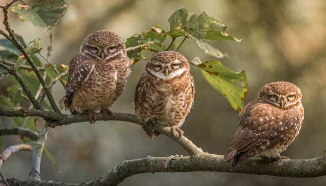 Blog images - 2025 VOL 2 - GettyImages