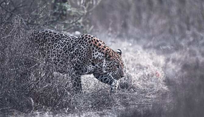 Blog images - 2025 VOL 2 - GettyImages