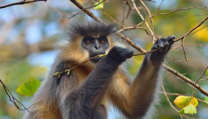 Blog images - 2025 VOL 2 - GettyImages