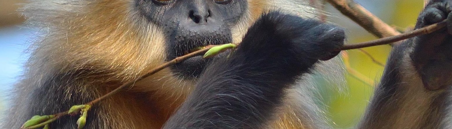 Blog images - 2025 VOL 2 - GettyImages