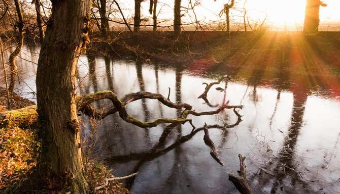 Blog images - 2025 VOL 2 - Discover the Charm of Br hl