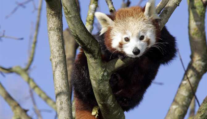 Blog images - 2025 VOL 2 - GettyImages