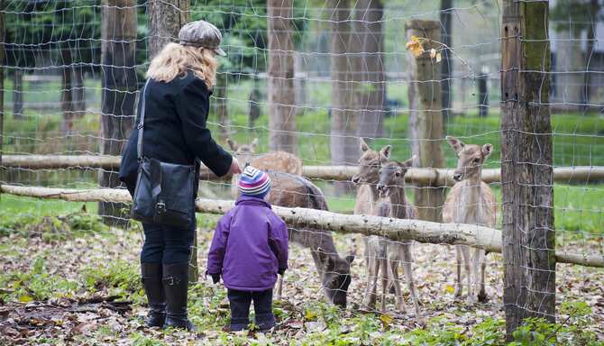 Blog images - 2025 VOL 2 - GettyImages