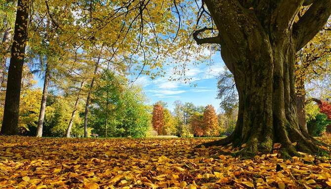 Blog images - 2025 VOL 2 - GettyImages