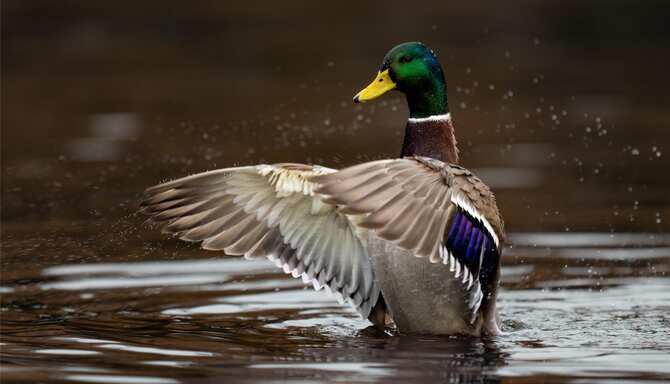 Blog images - 2025 VOL 2 - GettyImages