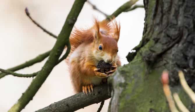 Blog images - 2025 VOL 2 - GettyImages