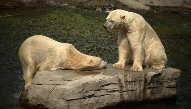 Blog images - 2025 VOL 2 - GettyImages