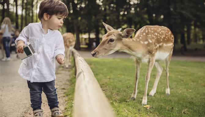 Blog images - 2025 VOL 2 - GettyImages