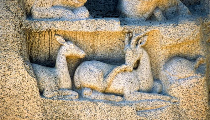 Blog images - 2025 VOL 2 - GettyImages