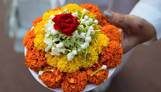 Blog images - 2025 VOL 2 - GettyImages