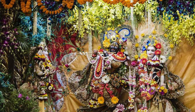 Blog images - 2025 VOL 2 - GettyImages