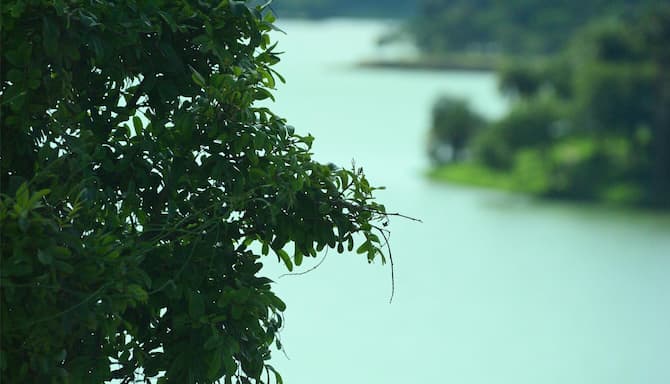 Blog images - 2025 VOL 2 - GettyImages