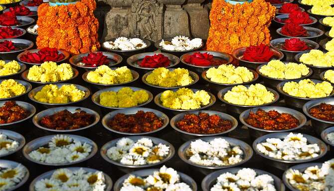 Blog images - 2025 VOL 2 - GettyImages