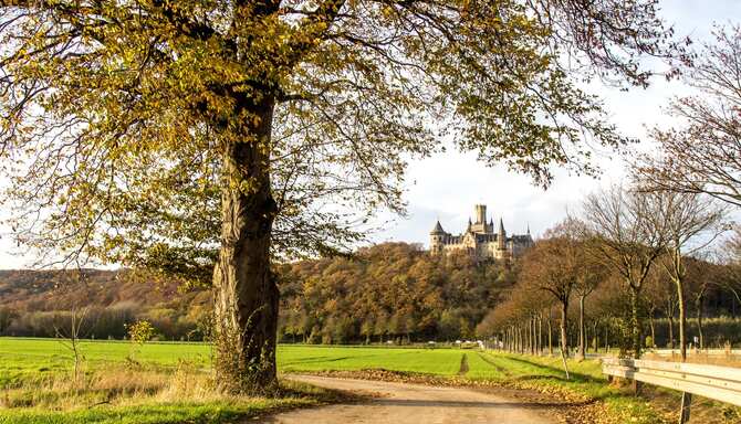 Blog images - 2025 VOL 2 - GettyImages