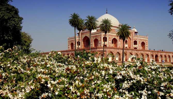 Blog images - 2025 VOL 2 - GettyImages