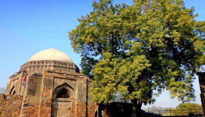 Blog images - 2025 VOL 2 - GettyImages