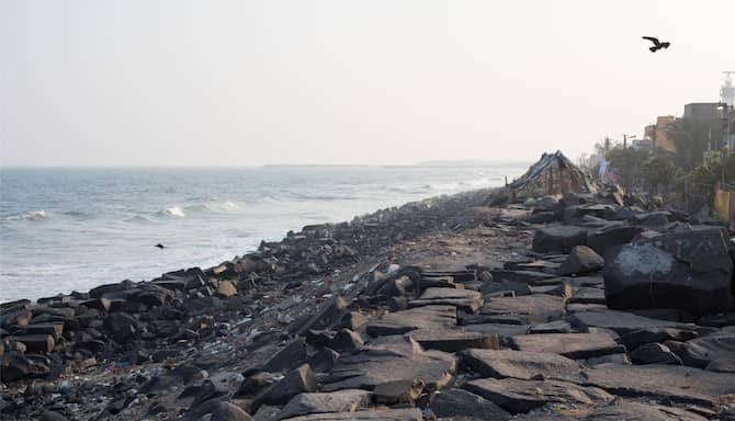 Blog images - 2025 VOL 2 - GettyImages