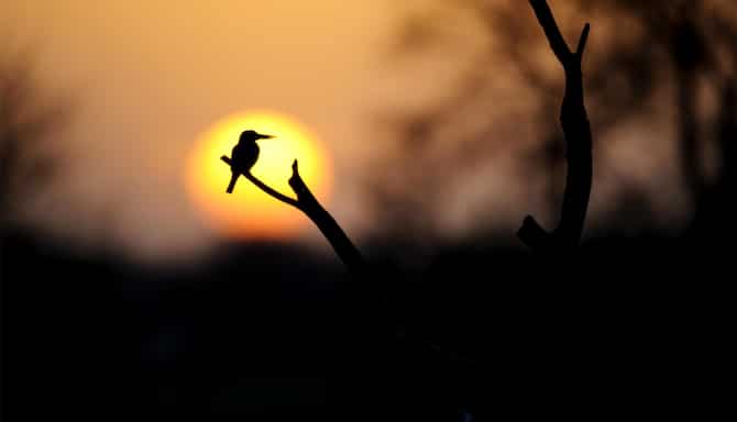 Blog images - 2025 VOL 2 - GettyImages