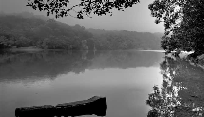 Blog images - 2025 VOL 2 - GettyImages