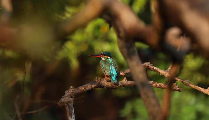 Blog images - 2025 VOL 2 - GettyImages