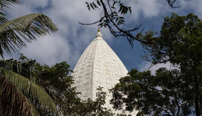 Blog images - 2025 VOL 2 - GettyImages