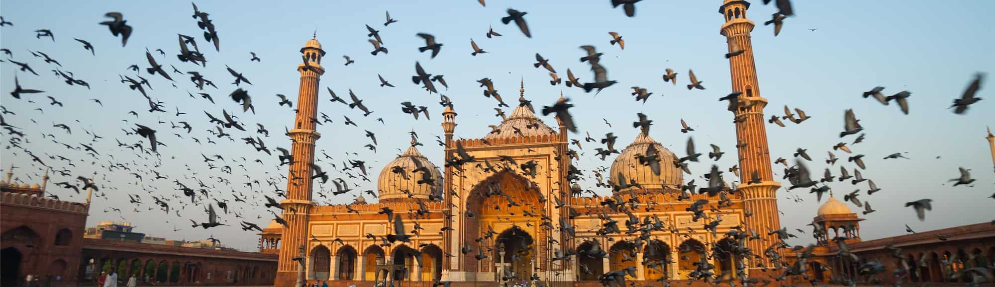 Blog images - 2025 VOL 2 - GettyImages